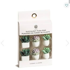 6 Succulent push pins